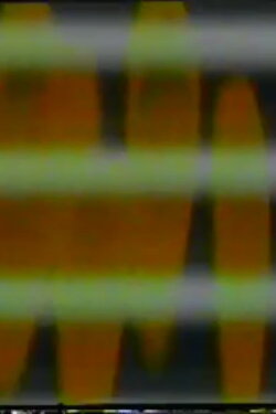 Color Fields Left (1977)
