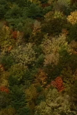Color Study (2000)
