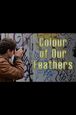 Colour of our Feathers (2014)