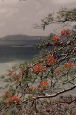 Colourful Caribbean (1955) Colourful Caribbean (1955)