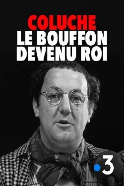 Coluche : le bouffon devenu roi (2016) Coluche : le bouffon devenu roi (2016)