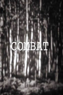 Combat (2015)