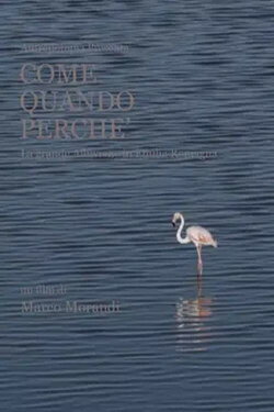 Come quando perché (2024)