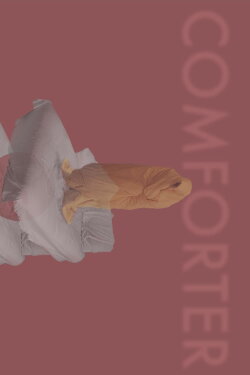 Comforter (2021)