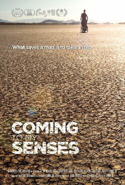 Coming To My Senses (2017) Coming To My Senses (2017)