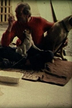 Comme un chien (2007)
