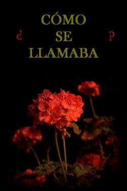 ¿Cómo se llamaba? (2021) ¿Cómo se llamaba? (2021)