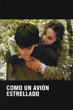 Como un avión estrellado (2005) Como un avión estrellado (2005)