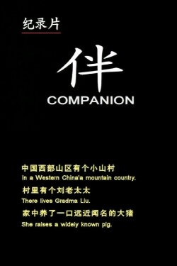 Companion (2003) Companion (2003)