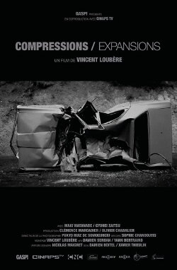 Compressions/Expansions (2016)