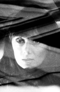 Comrade Lady (1987)
