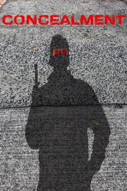 Concealment (2024)