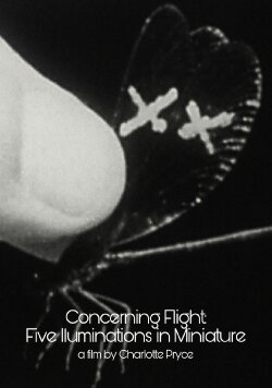 Concerning Flight: Five Illuminations In Miniature (2004)