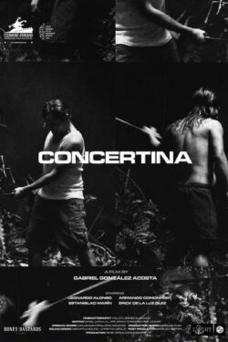 Concertina (2021) Concertina (2021)
