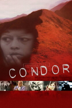 Condor (2007)
