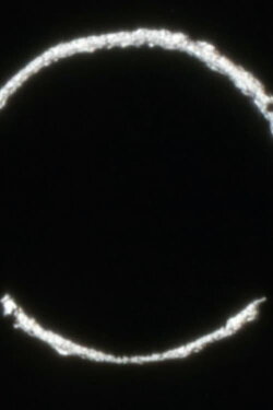 conical signal (2016)