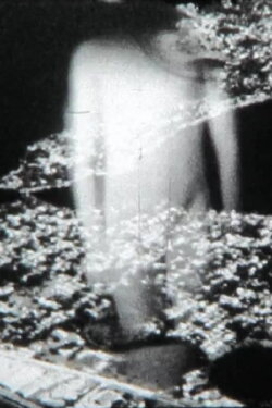Conjectures (2013) Conjectures (2013)