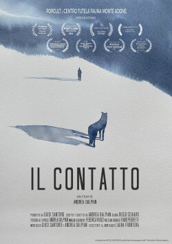 Connection (2022) Connection (2022)