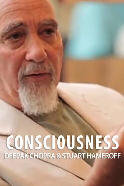 Consciousness:  Stuart Hameroff Interview (2013)
