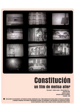Constitution (2013)
