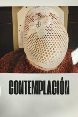 Contemplation (2024)