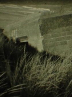 Continental Drift (2003)
