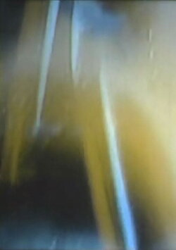 Control Sequences (2001)