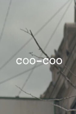 Coo-Coo (2022) Coo-Coo (2022)