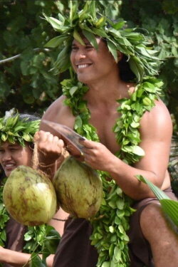 Cook Islands Maori Medicine (2020) Cook Islands Maori Medicine (2020)