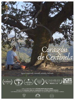 Corazón de centinela (2024) Corazón de centinela (2024)