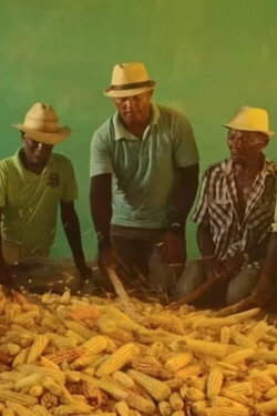 Corn Beat (2023)