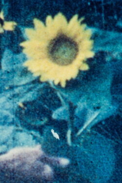 Corn Mother (2012) Corn Mother (2012)