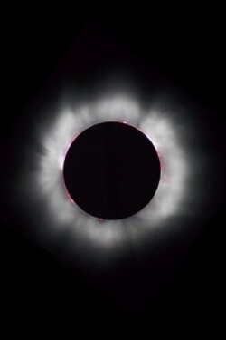 CORONAL LOOPS (2020)