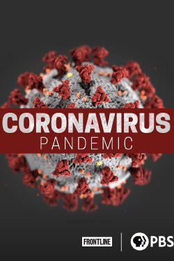Coronavirus Pandemic (2020) Coronavirus Pandemic (2020)