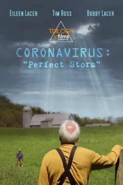 Coronavirus: Perfect Storm (2020) Coronavirus: Perfect Storm (2020)