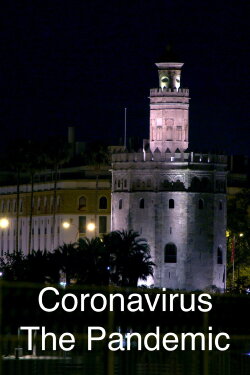 Coronavirus: The Pandemic (2021)