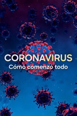 Coronavirus: The Silent Killer (2020) Coronavirus: The Silent Killer (2020)