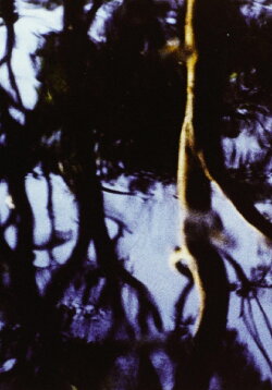 Corporeal (1983)