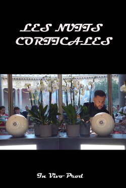 Cortical nights (2024)