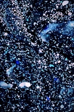 Cosmic Odyssey (2022) Cosmic Odyssey (2022)