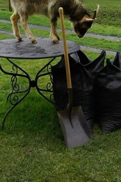 Côté jardin (2011)
