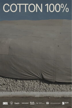 Cotton 100% (2022)