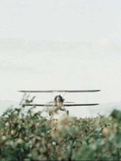Cotton (1960)