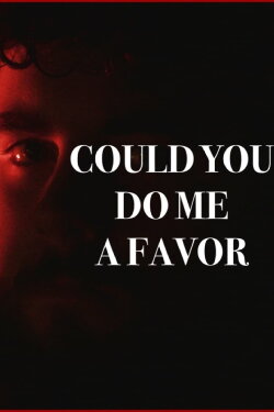 COULD YOU DO ME A FAVOR (2024)