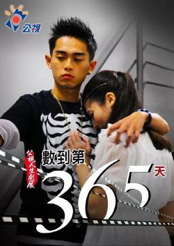 Count to 365 days (2011) Count to 365 days (2011)