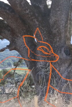 Coyote & Big Buff (2019) Coyote & Big Buff (2019)