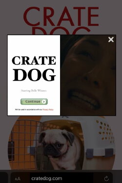 Crate Dog (2024) Crate Dog (2024)