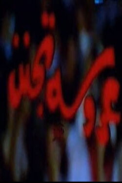 Crazy Bride (1980)