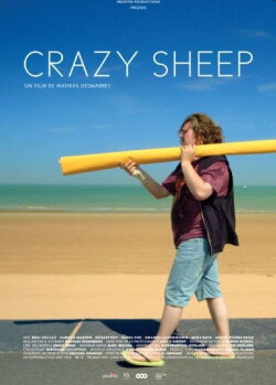 Crazy Sheep (2016)