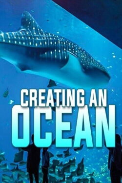 Creating an Ocean (2016) Creating an Ocean (2016)